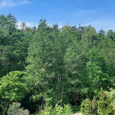 Apartament Agroturystka Przy Lesie